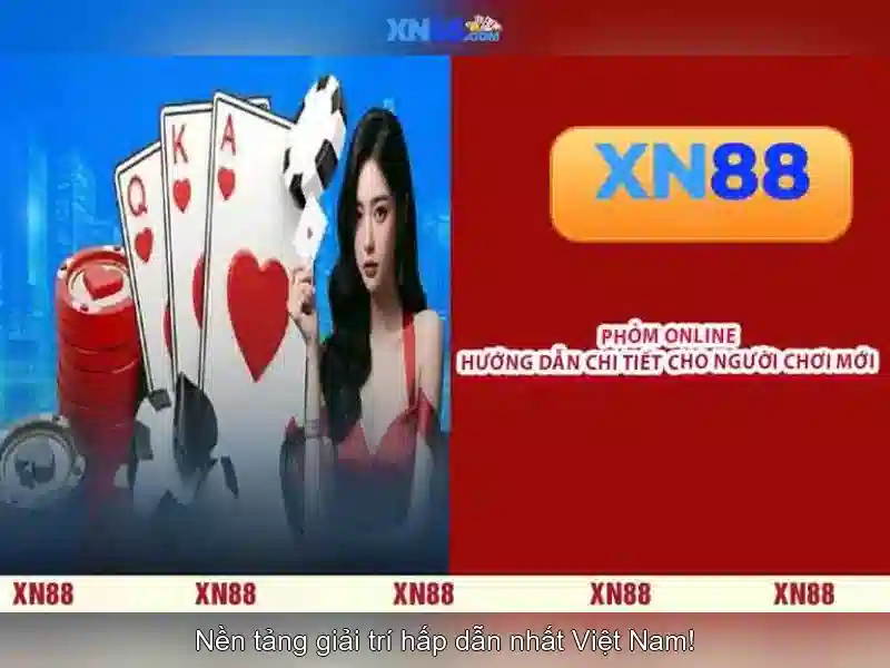 Tổng quan về xn88