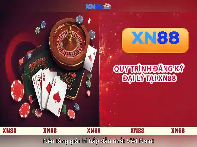 Trải nghiệm người dùng và phản hồi cộng đồng