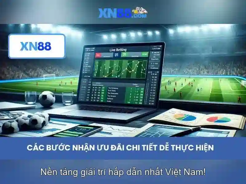Kinh nghiệm tham gia và lời khuyên