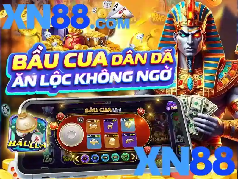 xn88 bshrf – Trải nghiệm người dùng và phản hồi của cộng đồng