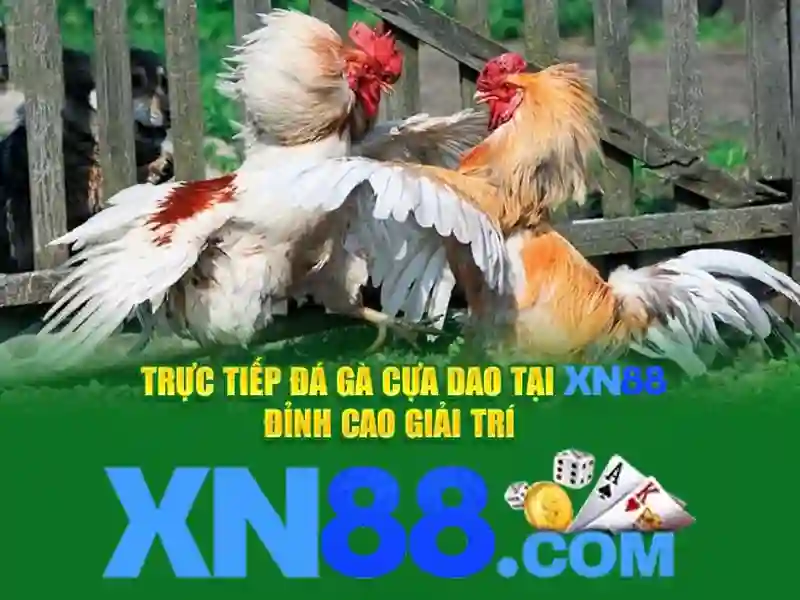 xn88. com – Trải nghiệm toàn diện với trang chủ xn88 1 Đăng Nhập